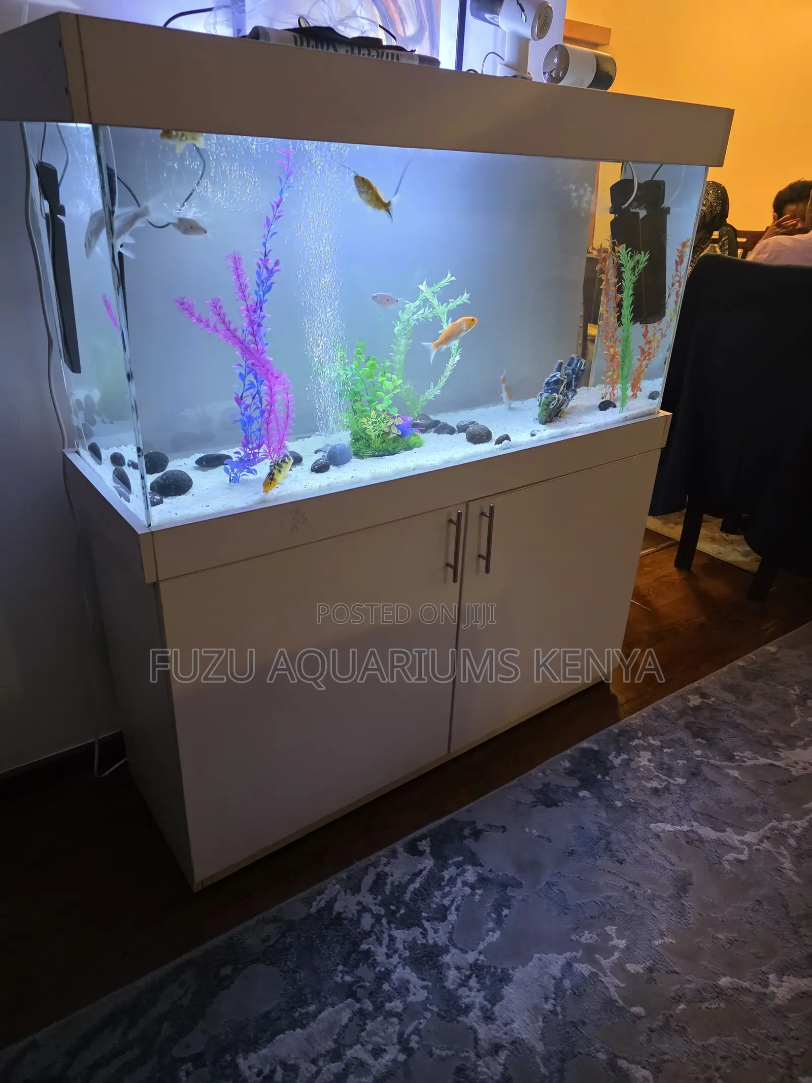 Modern Gloss White Aquarium Complete Set – 3ft