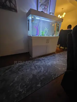 Minimalist White Aquarium Kit – Ready for Water