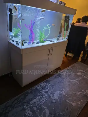 Contemporary White Aquarium With Shipwreck Decor