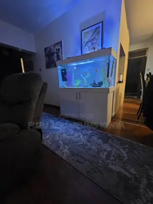 High-End White Aquarium for Office or Home