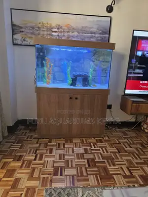 "The Beechwood Look" Aquarium – Fully Stocked
