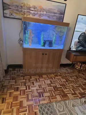 Complete Aquarium Package: Tank, Stand Fish