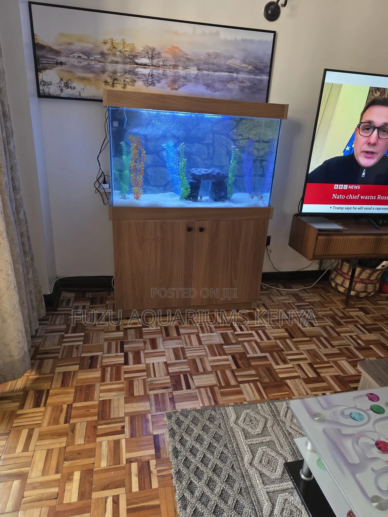 Best Value: Full Size Aquarium With Accessories