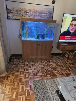Best Value: Full Size Aquarium With Accessories