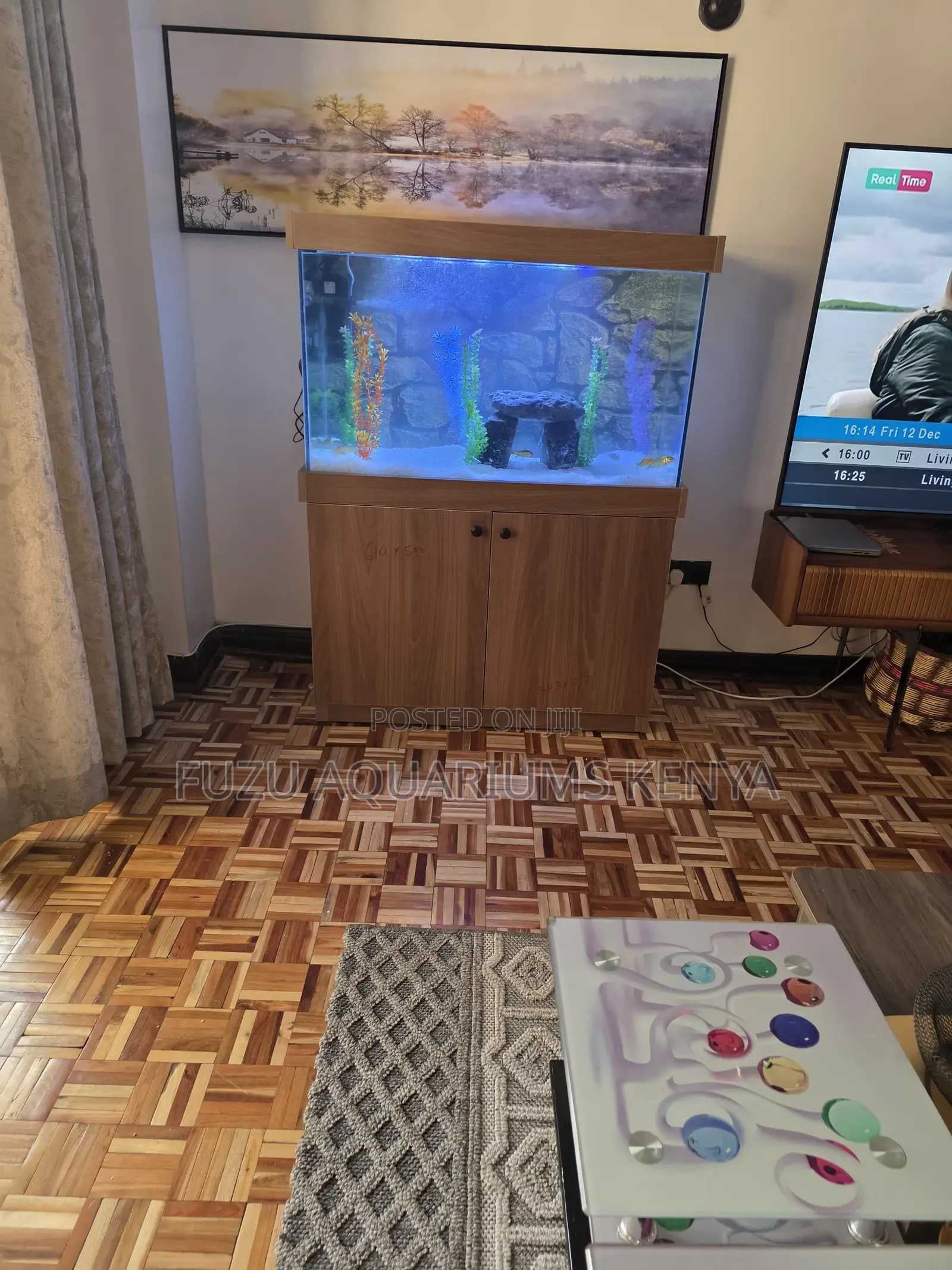 Large Viewing Aquarium – Fully Equipped
