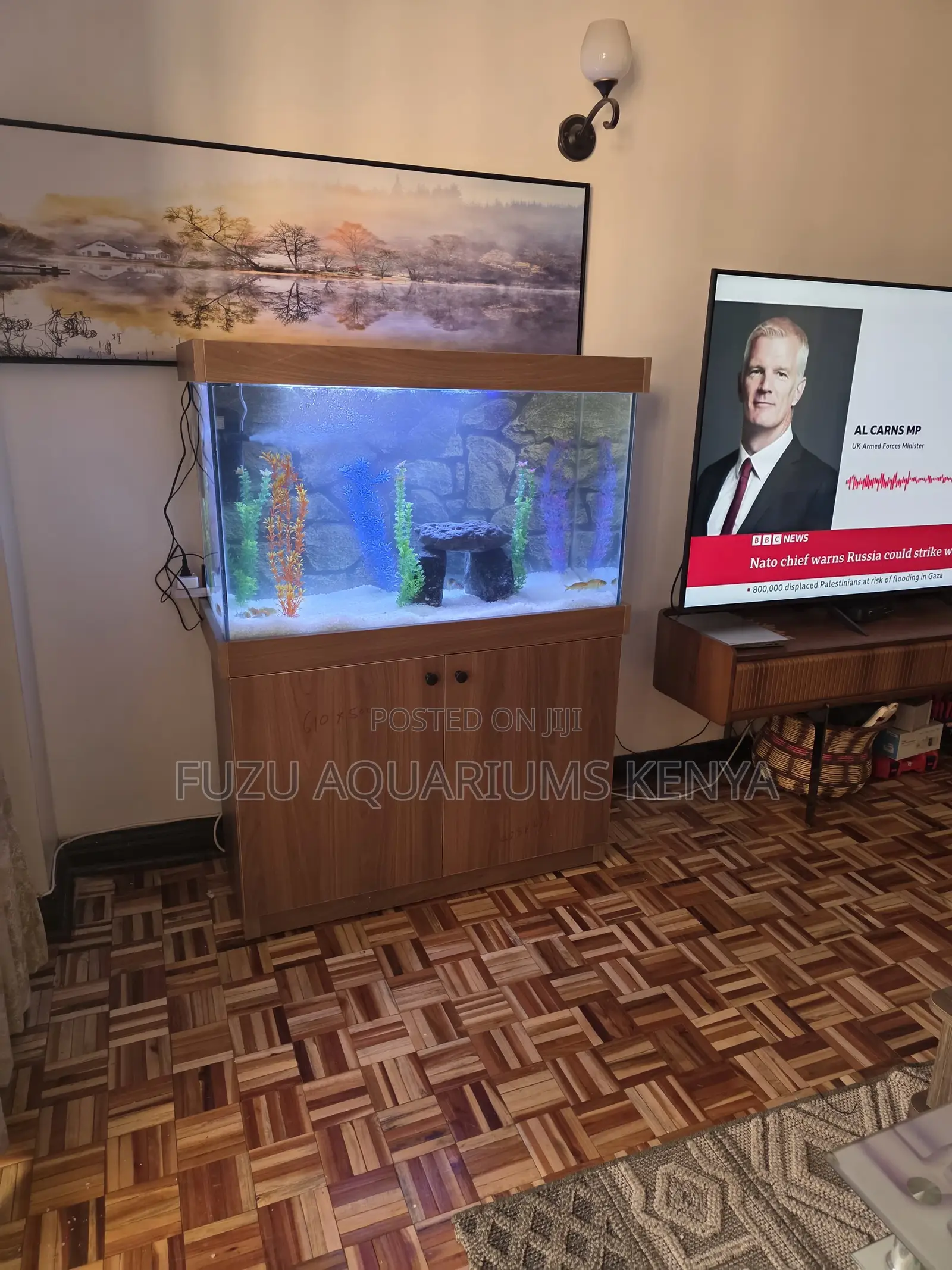 Gift Idea: Complete Aquarium System