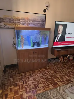 Gift Idea: Complete Aquarium System