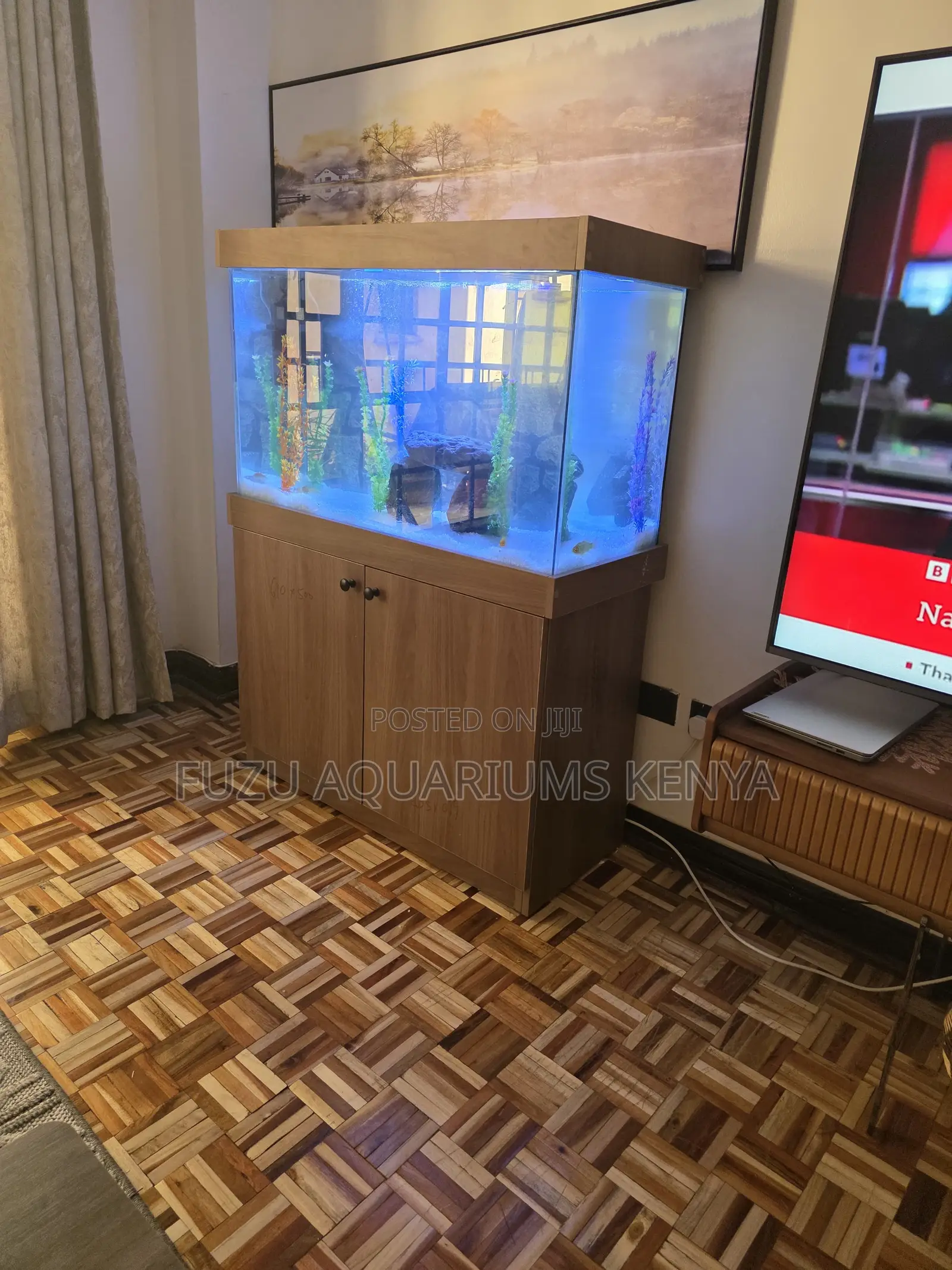 Tropical Aquarium Setup – Heater Filter Ready