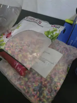 Decorative Colorful Stones for Aquariums Vases at 500/-