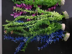 Create a Dense Jungle: Long Fish Tank Plants at 200/-