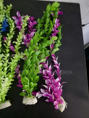 Vibrant Purple Green Tall Aquarium Plants