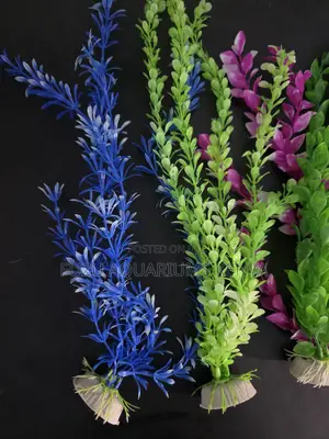 Easy-Clean Long Aquarium Plants (No Maintenance)