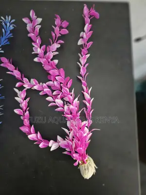 Long "Bamboo Style" "Fern" Aquarium Plants