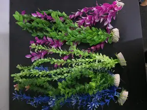 Fry Protection: Dense Tall Aquarium Plants
