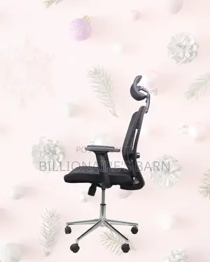 Adjustable Mesh Work Chair | Comfort Meets Style