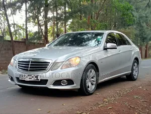 Mercedes-Benz E220 2010 Silver
