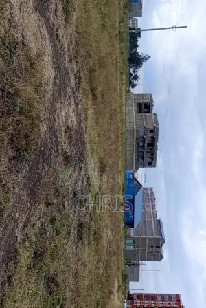 100x100 Plot for Rent