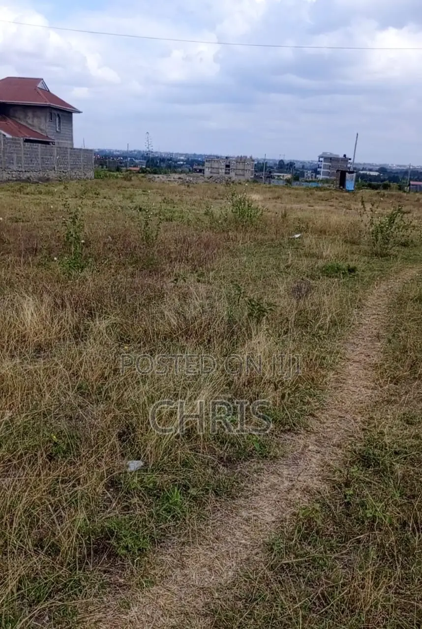 100x100 Plot for Rent
