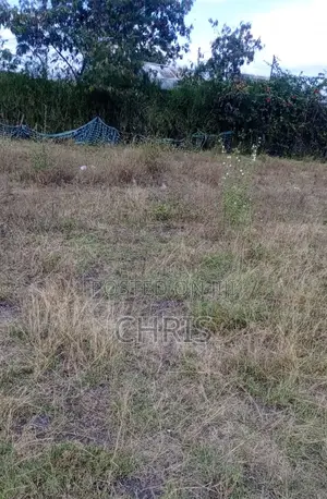 100x100 Plot for Rent