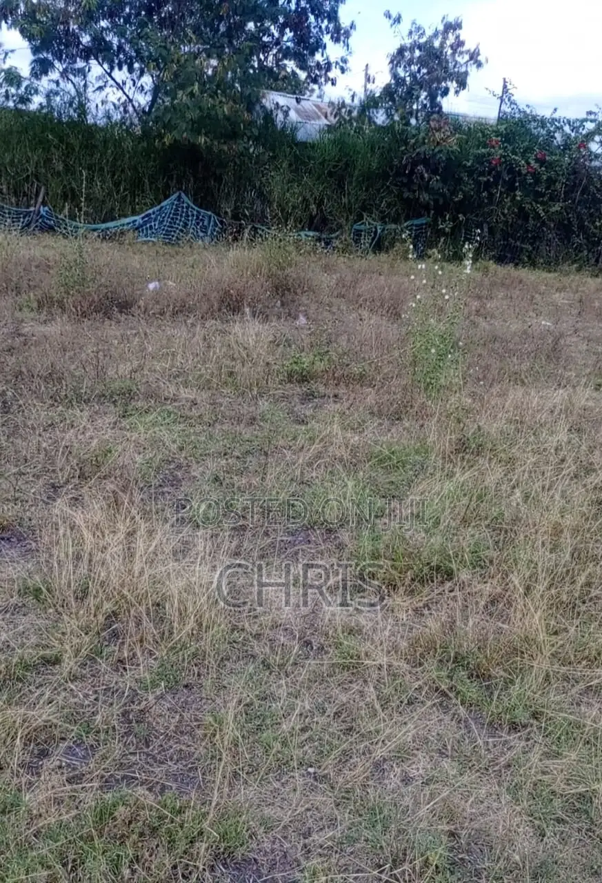 100x100 Plot for Rent