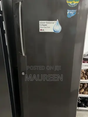 Gently Used Lg Fridge