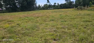 1.5 Acres for Sale in Kipkenyo Eldoret