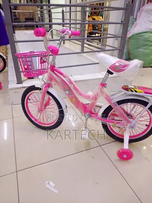 Pink Girls' Size 16 Bicycle With Training Wheels, Basket