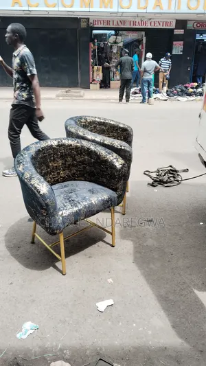 Salon Chair