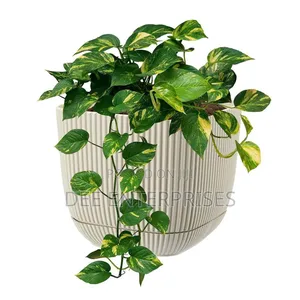 Coral Square Planter(Pot 4ltr)