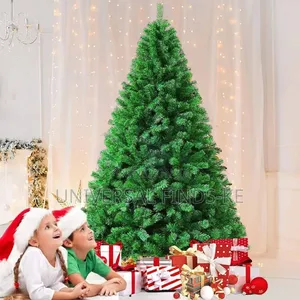Cyprus Christmas Tree 5ft