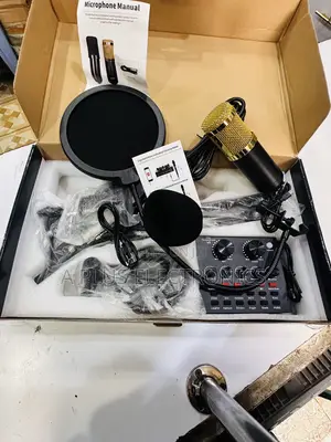 Original V8 Studio Condenser Mic for Clear Live Sound