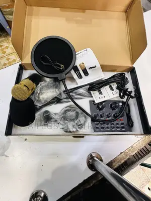 Professional V8 Condenser Mic for Home Studio Live Use