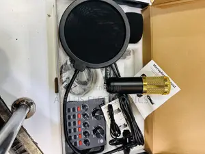 Budget Studio V8 Condenser Microphone