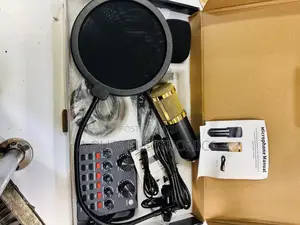 V8 Condenser Microphone