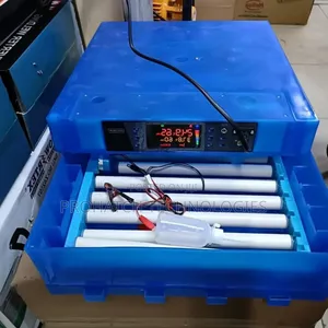 Affordable Hatching Eggs Incubator