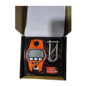1000kg Digital Crane Scale