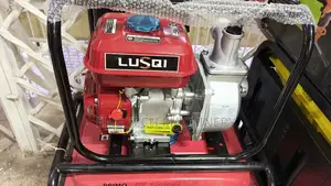 Lusqi Water Pump