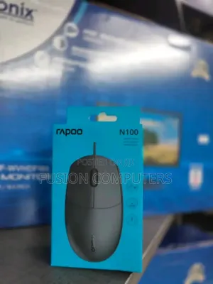 Rapoo Optical Mouse N100 – Black