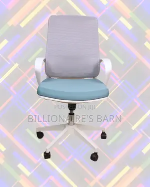 Comfort — Mesh (Pro-Grade) Ergonomic Today | Same-Day Delivery