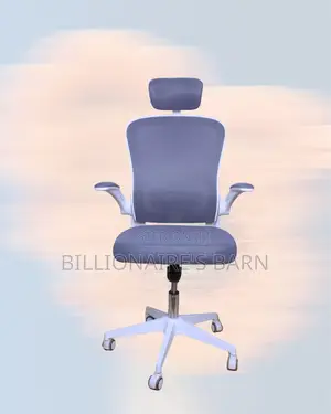 Stylish — Premium Office Ergonomic | Order Yours Today