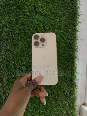 Apple iPhone 16 Pro 256 GB Gray