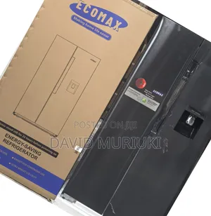 Ecomax 454 Litres Dark Silver Side by Side With Dispenser
