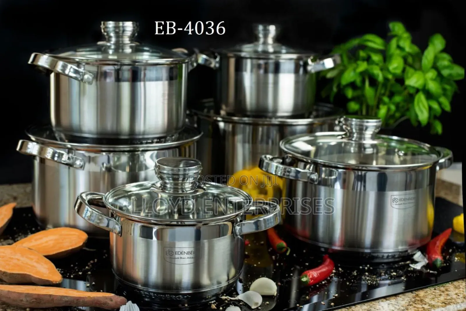 Induction Cooking Pots-Edenberg
