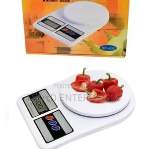 Precise Kitchen Scale