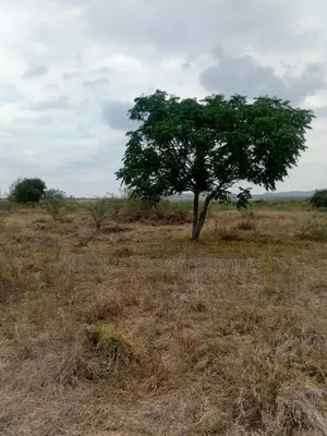 Best Deal Ever. 23 Plots at Kinanie, Machakos, Own Your Future Today