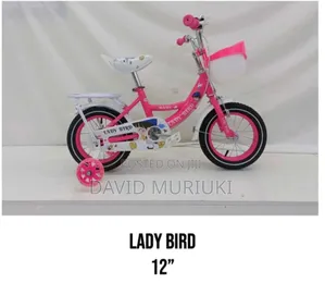 Skyfly BMX 12