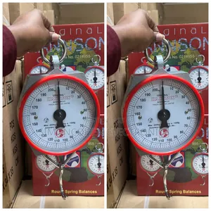 Hanson 200kg Scale With Hooks