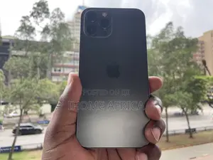 Apple iPhone 12 Pro Max 256 GB Black