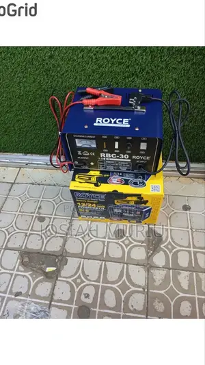 Royce 40a Battery Charger