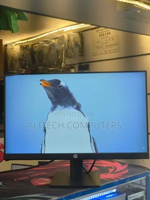 Hp Flameless Monitor